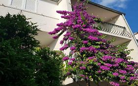 Apartmani Sonja