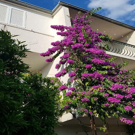 Apartmani Sonja Makarska Zewnętrze zdjęcie