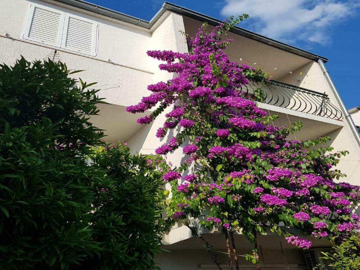 Apartmani Sonja Makarska Zewnętrze zdjęcie